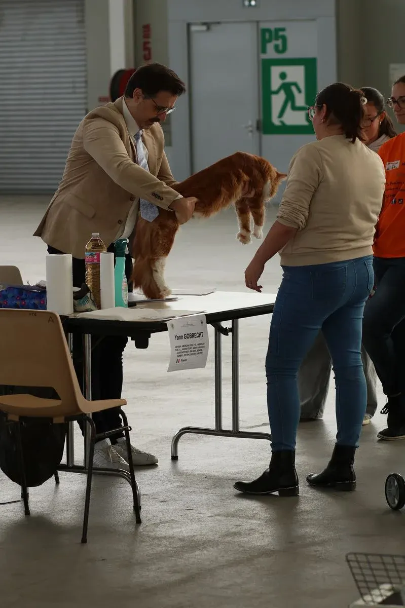 Exposition Château-Gontier 2026 — photo 38